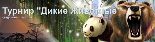 турнир Дикие животные